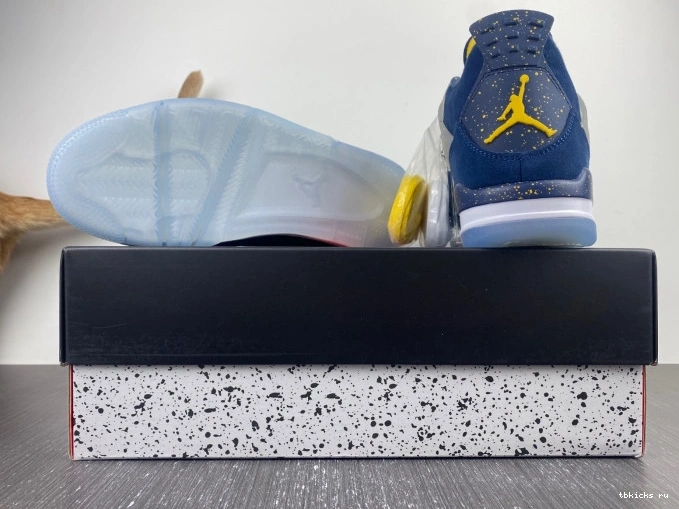 Reps TB Retro Michigan 4 (PE) Air Jordan AJ4-1036660 0720
